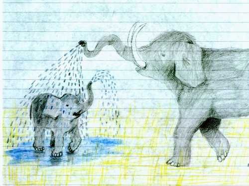 Elephantenmutter duscht Junges